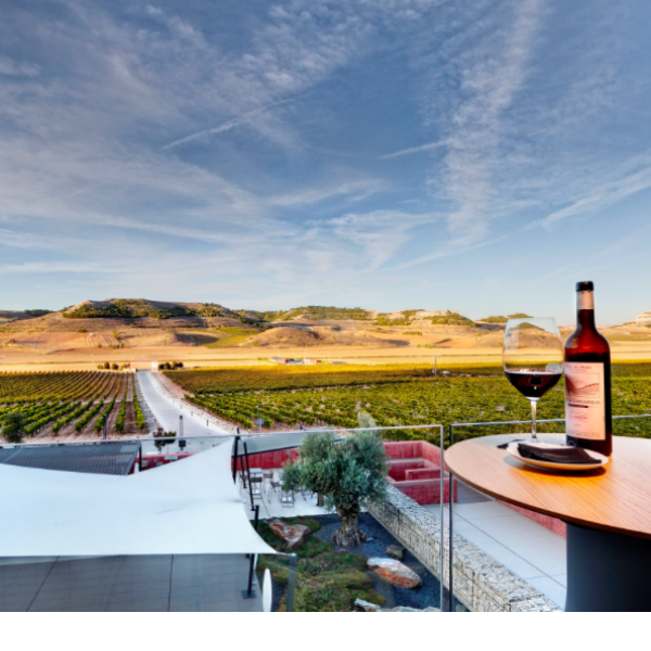 Pack - Pago de Carraovejas Estuche de Lujo