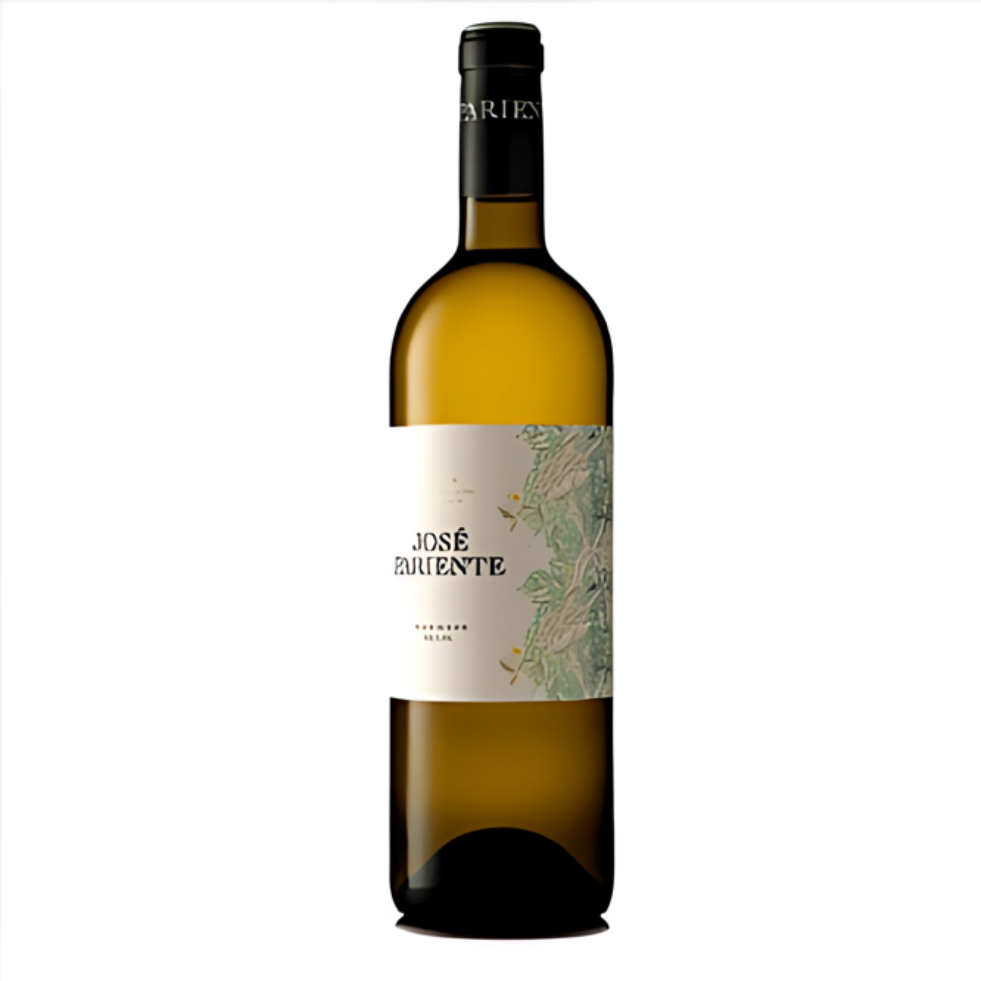 Vino  blanco Jose Pariente Sauvignon Blanc